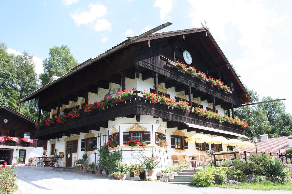 Pension Blauer Gamsbock Кіферсфельден Екстер'єр фото